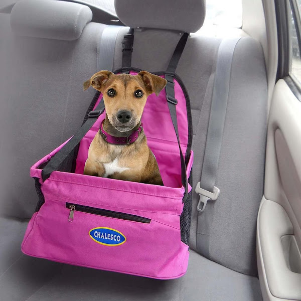 Foto 1 Animal Zen Pet Boutique e Estética Animal