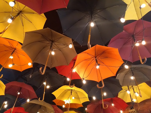 Foto 5 Cacau Show Foto 5 Cacau Show