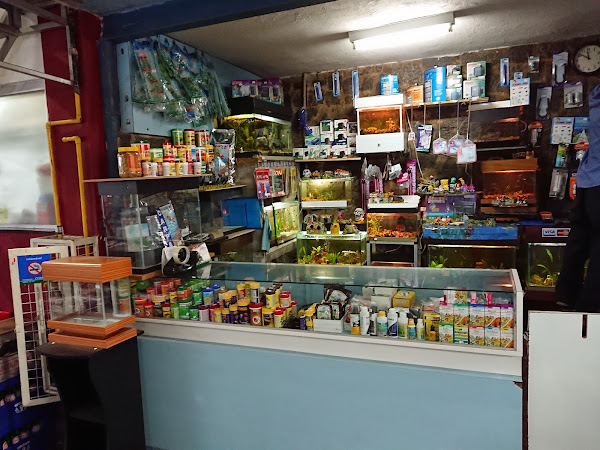 Foto 6 Associação Comerciantes Supermercado Campineiro