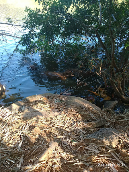 Foto 1 DIA Supermercado