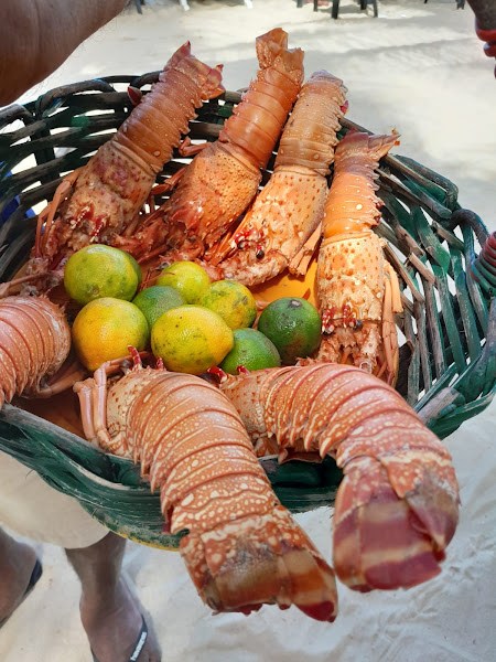 Foto 3 Complexo Crocobeach