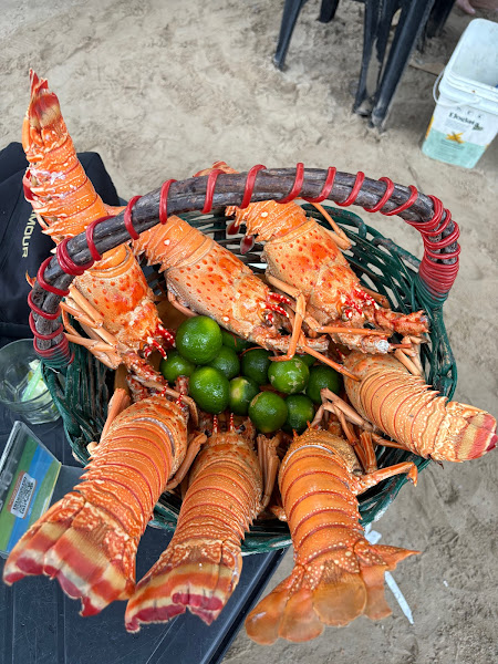 Foto 4 Complexo Crocobeach