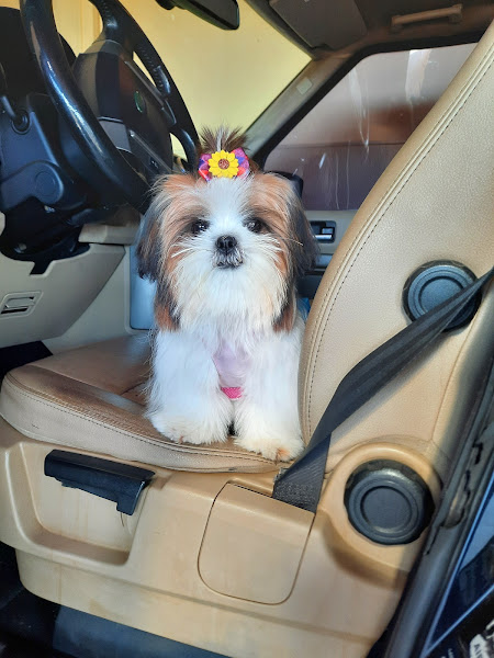 Foto 3 Nutrimed - Av São Paulo