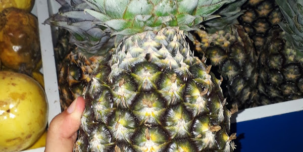 Mercearia Itabaiana Mercearia Itabaiana