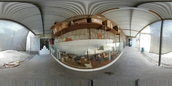 Foto 4 Lojão Da Ração