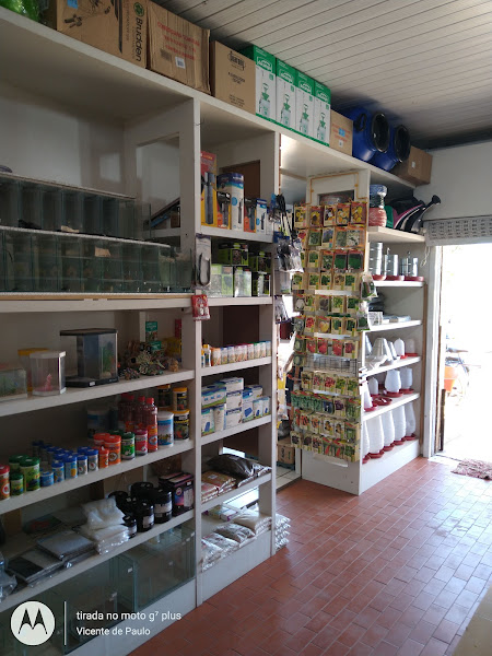 Foto 5 Lojão Da Ração