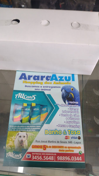 Foto 3 Arara Azul