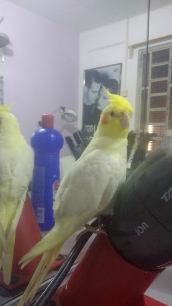 Foto 3 Casa doa Pizza