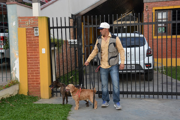 Foto 1 Hermes Dogwalker Personal Dog