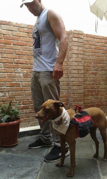 Foto 4 Hermes Dogwalker Personal Dog