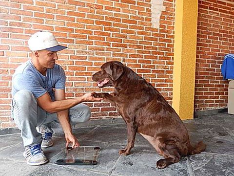 Foto 6 Hermes Dogwalker Personal Dog