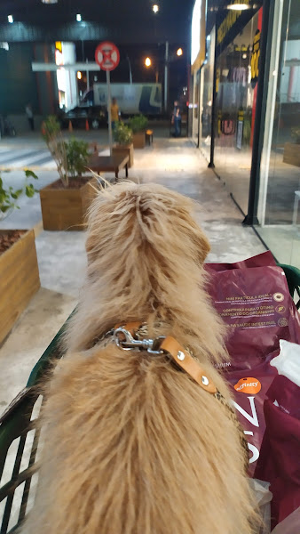 Foto 2 Cobasi São José dos Pinhais