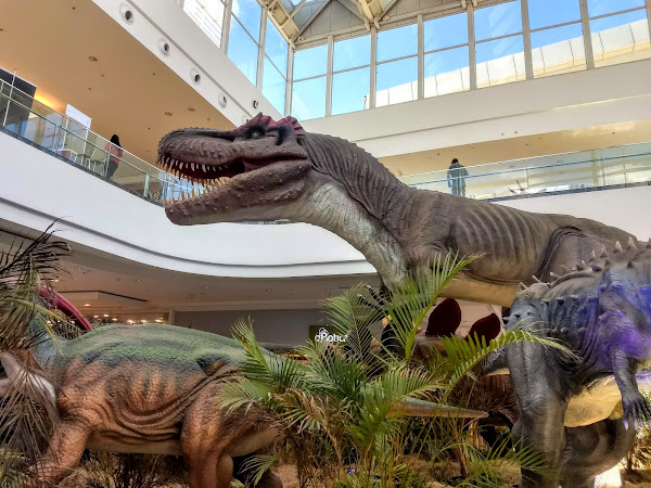 Foto 1 Shopping São José