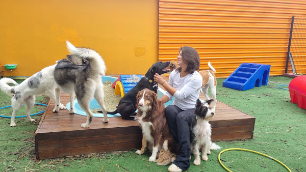 Foto 1 Dori`s Adestramento