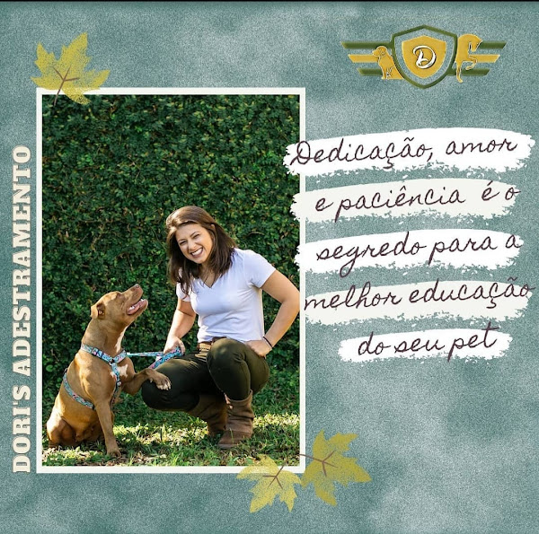 Foto 2 Dori`s Adestramento