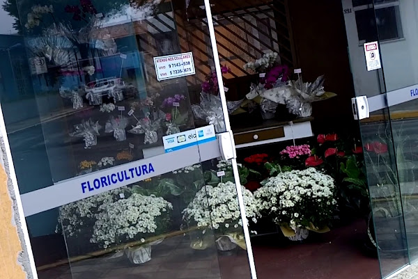 Floricultura Solange Flores