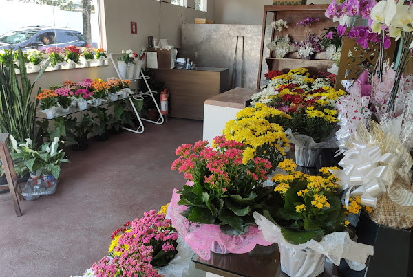 Foto 1 Floricultura Solange Flores