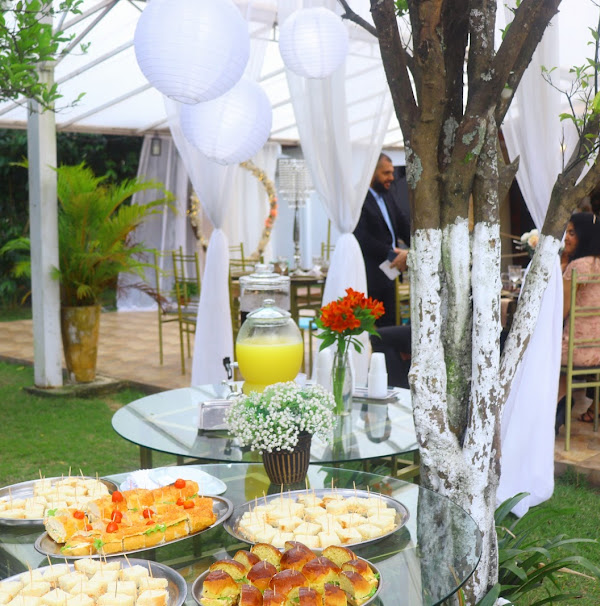 Foto 2 Chácara Monarca