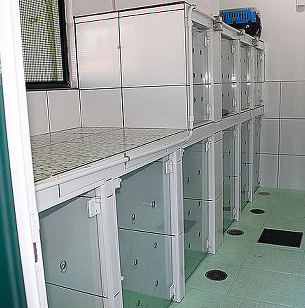 Foto 1 Hospital Veterinário Mundo Animal 24H