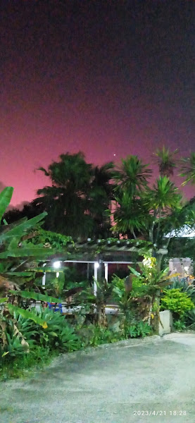 Foto 3 Wuhalla Rodizio de Pizza e Restaurante