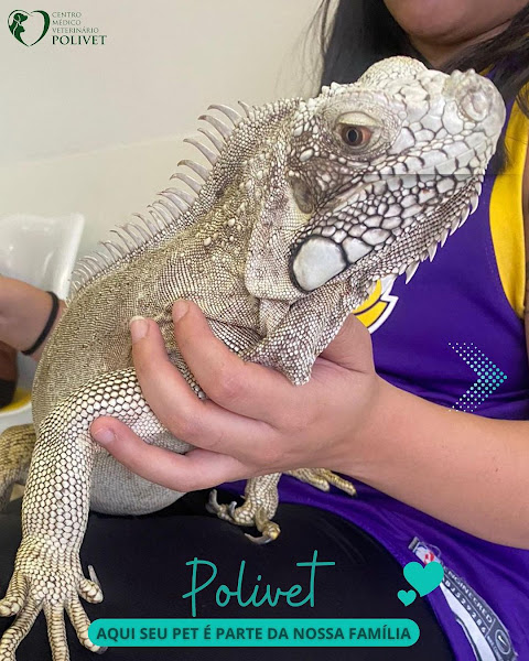 Foto 1 Hospital Veterinário Polivet