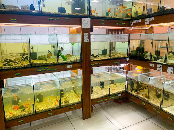 Foto 2 CASA DE RAÇÃO SÃO CARLOS - Banho e Tosa & Petshop - Fazemos Delivery - Matriz