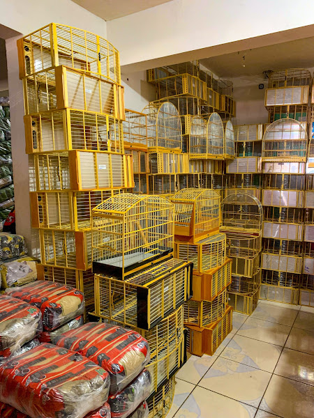 Foto 3 CASA DE RAÇÃO SÃO CARLOS - Banho e Tosa & Petshop - Fazemos Delivery - Matriz