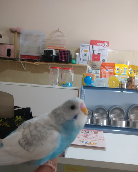 Foto 3 Agromix casa de ração