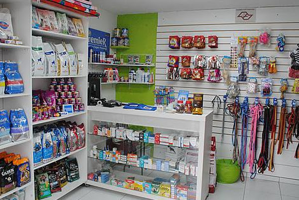 Cão Guia Adestramento