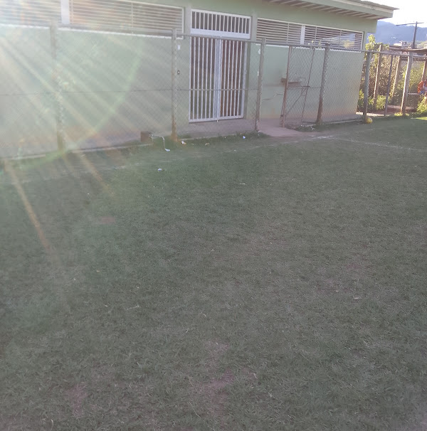 Campo do Limoeiro