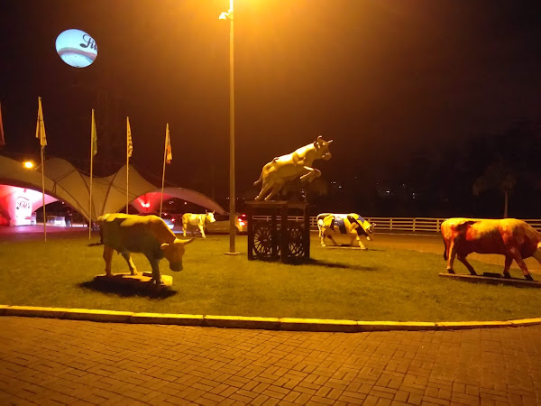 Foto 1 Rancho StaFé