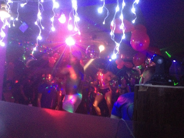 Indiscretus Indiscretus