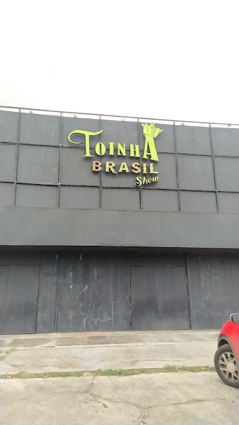 Foto 3 Toinha Brasil show
