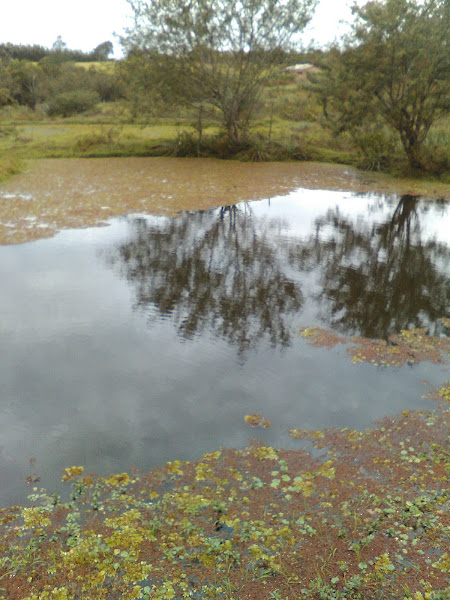 Sítio Primavera Sítio Primavera