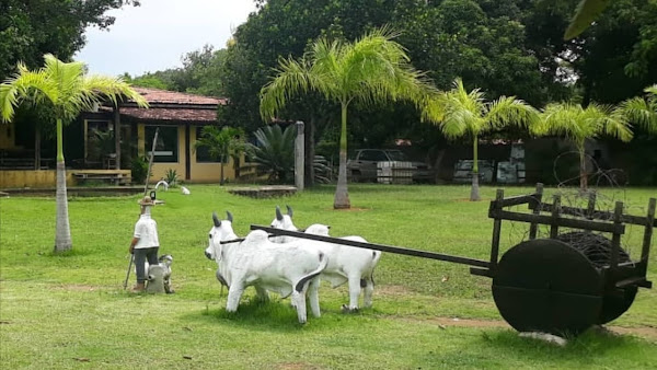 Foto 4 Espaço Bouganville