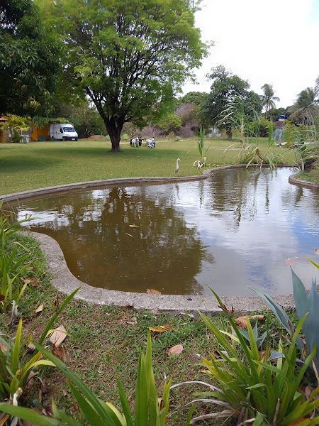 Foto 5 Espaço Bouganville