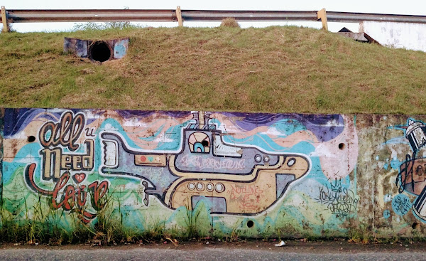 Foto 3 Célula Showcase