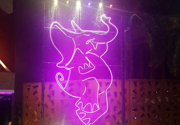 Foto 1 Pink Elephant Brasília