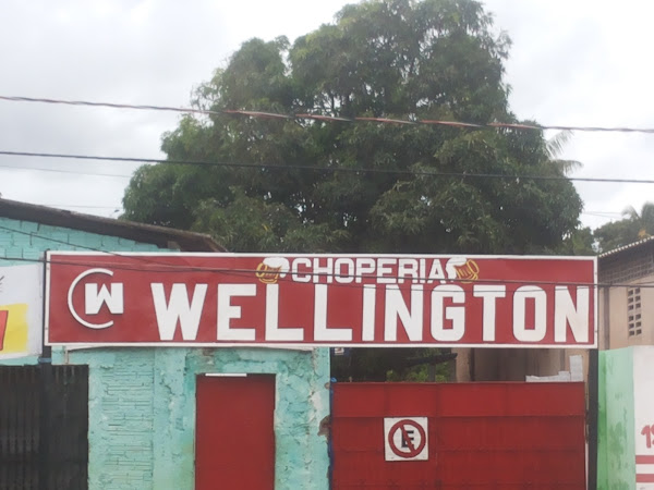 Foto 2 Choperia Wellington
