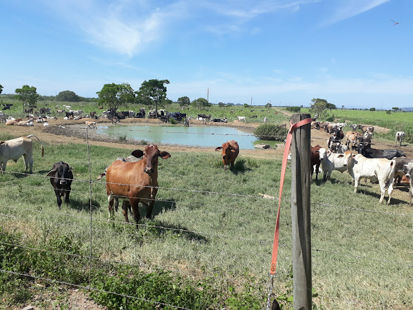 Foto 4 Usina Do Queimado