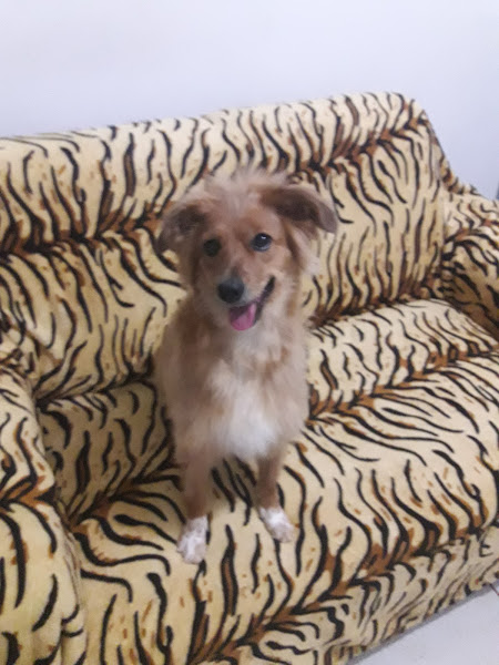 Foto 1 Spazio Itália Foto 1 Spazio Itália