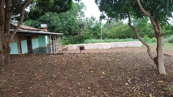 Savanas Shows Palmas