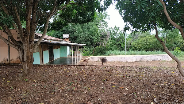 Foto 1 Savanas Shows Palmas