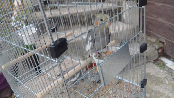 Rações Portugal Rações Portugal