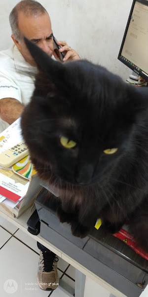 Foto 2 Clínica Veterinária Apaixonados Por Quatro Patas - Unidade Itaboraí