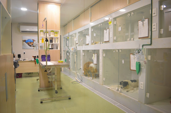 Foto 4 Veterinária Saúde Animal Itaboraí 24H