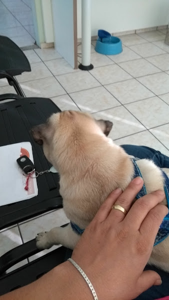 Foto 1 Clínica Veterinária Toca dos Bichos