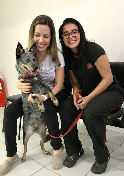 Foto 1 Clinica Central Veterinaria