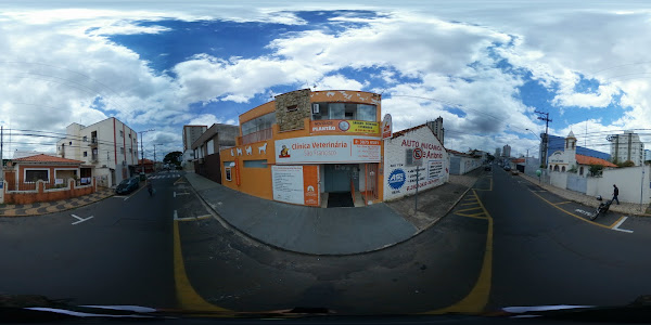 Foto 3 Clínica Veterinária São Francisco