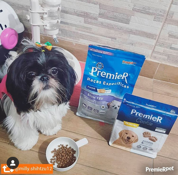 Foto 3 Pet Shop Pro-Animais